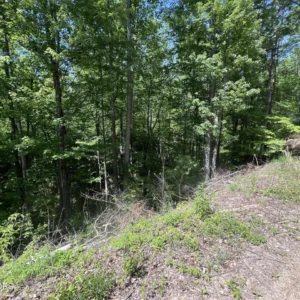 0.72 Acre Lot for Sale – Sevierville TN – Black Oak / Butternut Pl – Great Investment