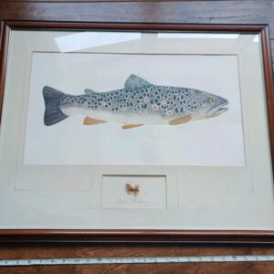 Vintage Larry Crawford Brown Trout Print 114/200 Framed Fly Fishing Art Sofa Pillow