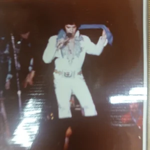 Elvis Presley Original 1977 Concert Photo 5x7 Kodak Chrysler Arena Crowd.