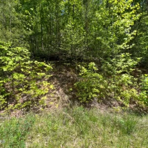 0.41 Acre Lot 50 for Sale – Sevier County TN – Yellowwood Drive – Great Investment