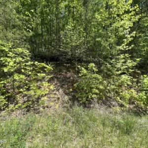0.35 Acre Lot 81 for Sale – Sevier County TN – Yellowwood Drive – Affordable Land